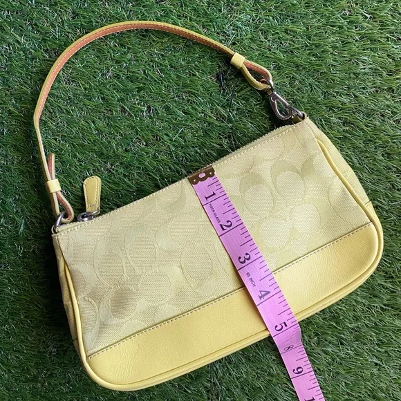 Coach demi purse